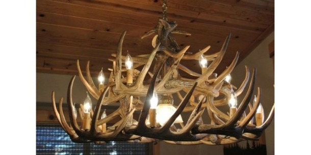 Mule Deer Chandeliers
